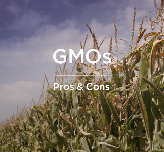 GMOs - Pros & Cons